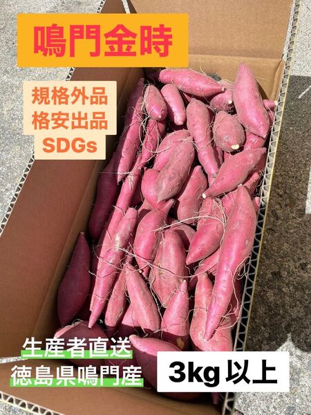 鳴門金時 規格外品 3kg SDGs