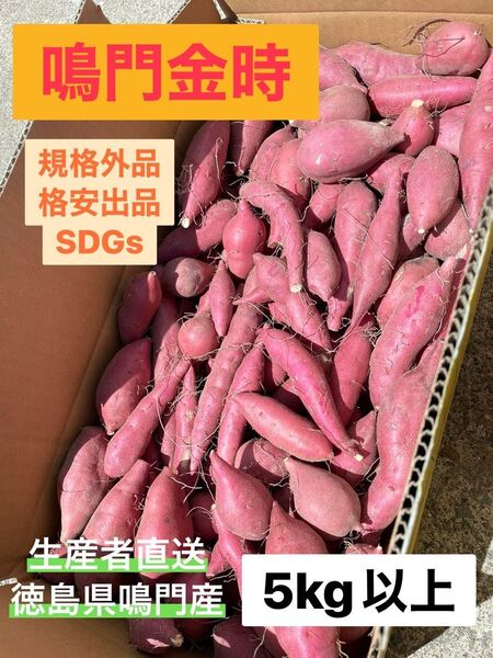 鳴門金時 規格外品 5kg SDGs
