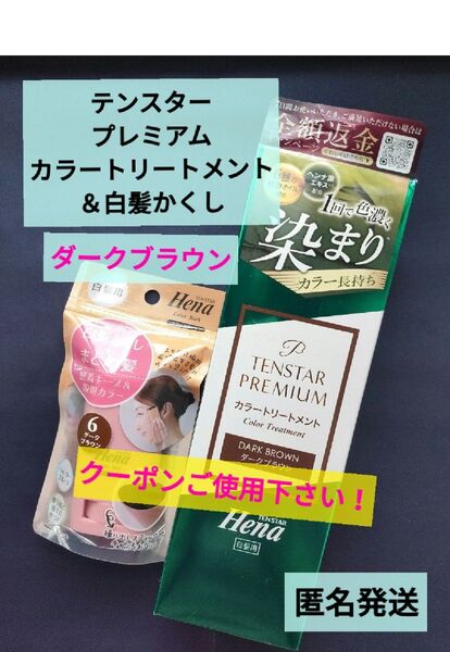 テンスター Hena プレミアム カラートリートメント (ダークブラウン)×1本 白髪用カラースティック(ダークブラウン)×1本