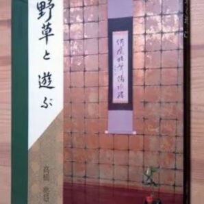 『野草と遊ぶ』 高橋堯慧