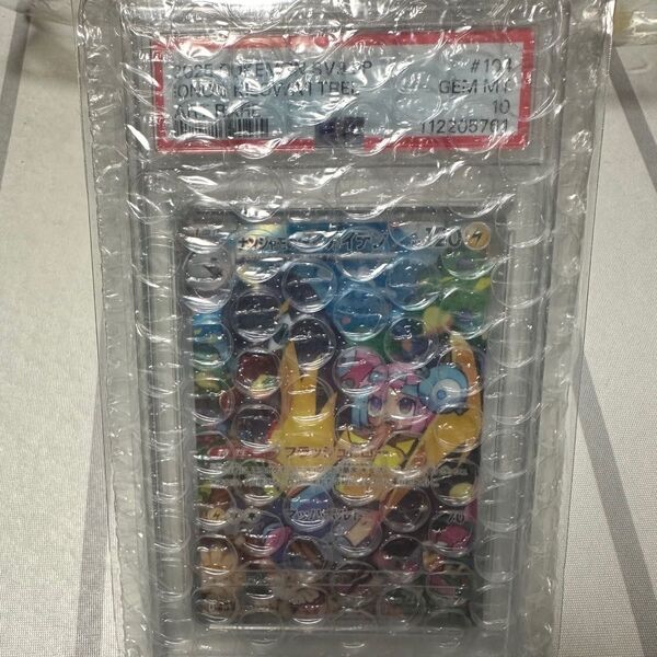 PSA10 ナンジャモのタイカイデンAR