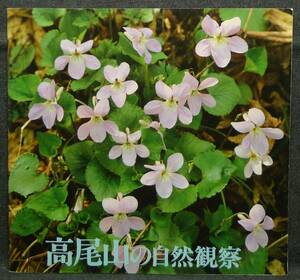 [ super rare ][ beautiful goods ] secondhand book Takao mountain. nature observation . writing brush : arrow ..,. mountain ., tree inside regular .* Yoshida regular person, large . furthermore ., Kobayashi . foundation juridical person Japan nature protection association 