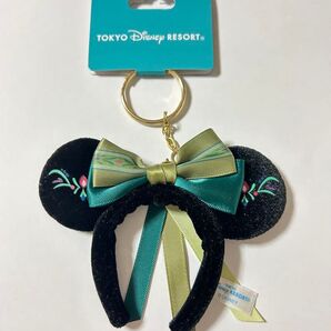 新品タグ付 アナカチューシャキーチェーン ファンタジースプリングス キーホルダー ディズニー