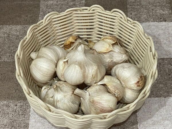 令和7年田子町産乾燥ニンニクLsize訳あり1kg