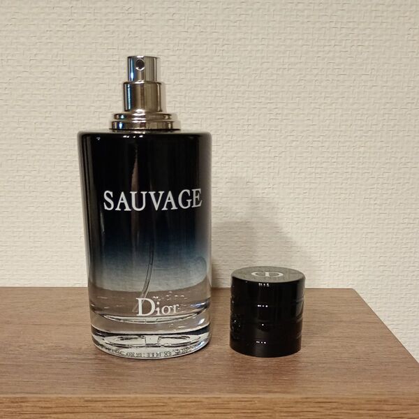 Dior SAUVAGE ディオール ソバージュ オードゥトワレEDT 100 香水 メンズ