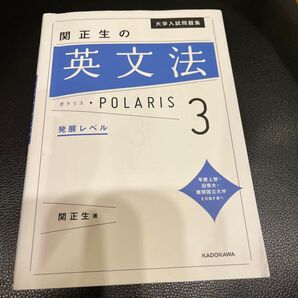 大学入試問題集関正生の英文法ポラリス 3 (大学入試問題集) 関正生/著