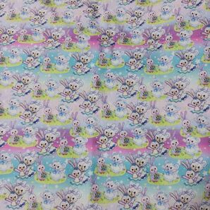 C111 生地 はぎれ 50×140