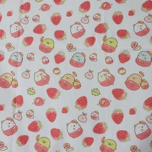 C178 生地 はぎれ 50×140