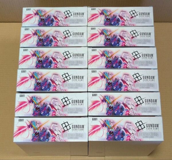 【新品未開封・12BOX・テープ付き】ガンダムカードゲーム ブースターパック Newtype Rising【GD01】 (BOX)