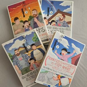 弟の夫 1〜4巻セット