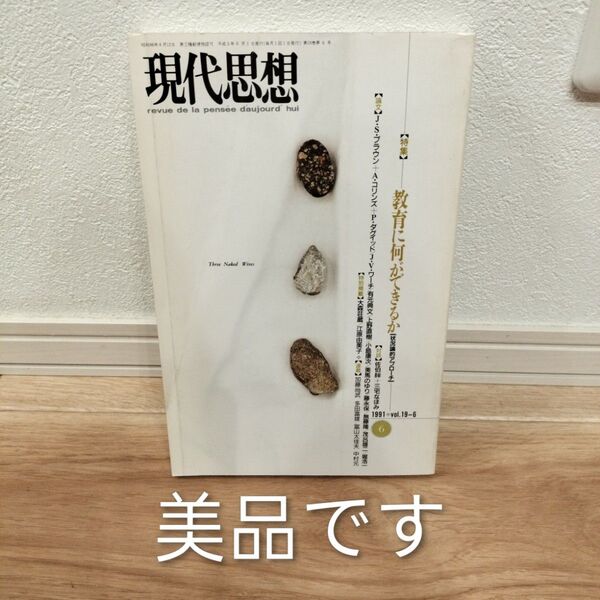 【美品】【送料無料】【匿名配送】現代思想 1991 vol.19−6