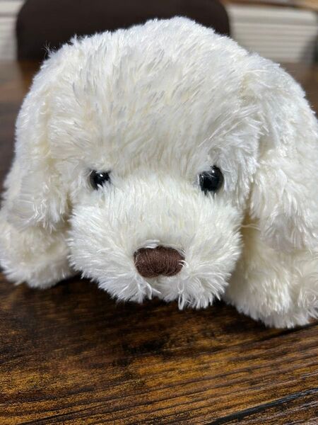 トイザらス アニマルアレイ 犬のぬいぐるみ