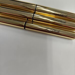 アンプリチュード コンスピキュアス チップオンアイズ アイライナー