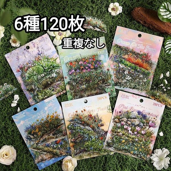 新!P31 緑野芳踪 花 植物 ステッカー PET シール コラージュ素材