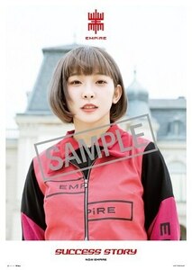 EMPiRE [SUCCESS STORY] 非売品ポスター NOW EMPiRE タワレコ限定