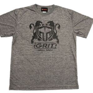 GRIT TRAINING DRY TEE 2203 TIGER GRAY BK