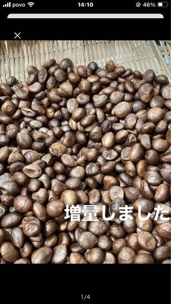 枇杷の種 びわ 400g 農薬不使用
