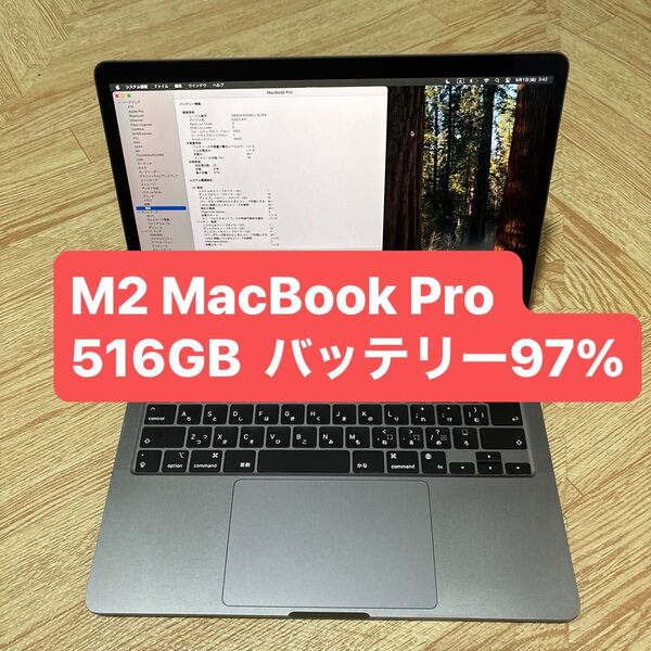 【値下げ】Apple MacBook Pro 13インチM2 2022 MNEP3J/A 8GB 516GB A2338