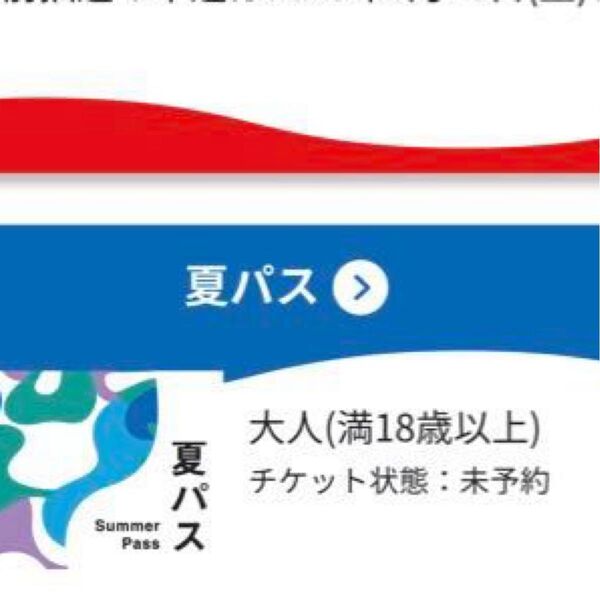 EXPO2025 大阪万博 大人 夏パス 電子チケット 入場券