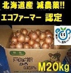 北海道産玉ねぎ20kgMサイズ