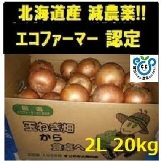 北海道産玉ねぎ 20kg2Lサイズ