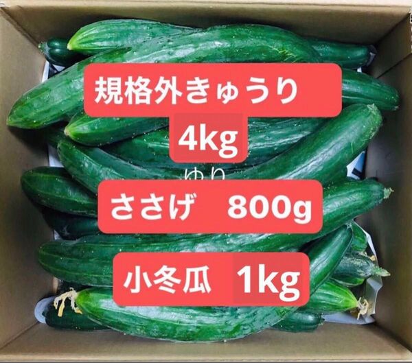 農薬無し栽培 きゅうり4kgささげ800g冬瓜1kg(箱を除いた野菜だけの重量)