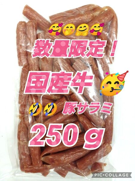 宮内ハム 国産牛・豚サラミソーセージ 250g 1袋 高級 てんこ盛り 山形の味 おいしい山形 お取り寄せ