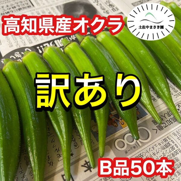 高知県産オクラ 新鮮おくら 即購入OK 産地直送 野菜b50gjtp