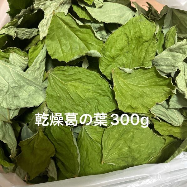 乾燥葛の葉300g S〜Mサイズ 岐阜県産 無農薬 草食動物のおやつ サマーセール