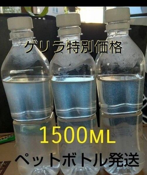 ゲリラセール!魚のエサ 1500ml。ペットボトル発送。ゾウリムシ メダカ 金魚 めだか エサ ミジンコ グリーンウォーター