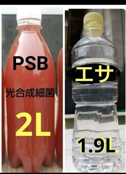 魚のエサ 1900ml & PSB(光合成細菌) 2000ml 。ゾウリムシ メダカ 金魚 ミジンコ らんちゅうエサ めだか