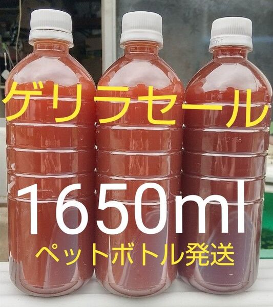 ゲリラセール! PSB(光合成細菌)550ml×3本の1650ml。メダカ 金魚 ゾウリムシ ミジンコ めだか