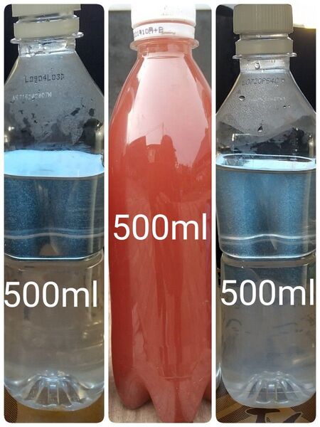 魚のエサ 1000ml & PSB(光合成細菌) 500ml。ゾウリムシ ペットボトル発送!メダカ 金魚 ミジンコ