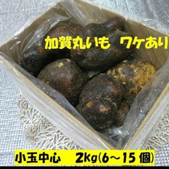 ★夏バテに★最安値 !!夏限定応援価格!!石川県 加賀 丸いも ワケあり 小玉 2キロ 山芋 山の芋つくね芋 とろろ加賀伝統野菜