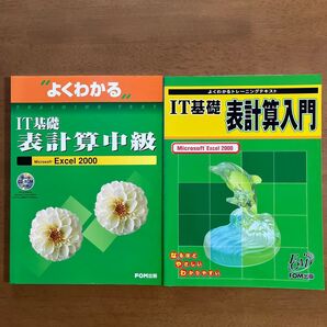☆中古 IT基礎 表計算入門、表計算中級 2冊セット Microsoft Excel 2000