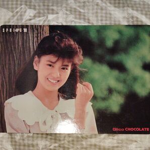 グリコチョコレート1988 SPRING 南野陽子 グリコ製品荷姿一覧表