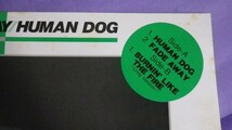 【LP】X-RAY/Human Dog 45rpm 盤面良好 12HS5_画像4