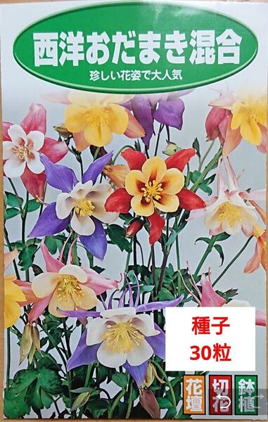 《西洋おだまきMIX》 30粒 種 種子 西洋オダマキ 切花 花壇 ミックス 花 タネ プランター ウエルカムフラワー
