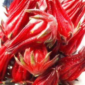 ハイビスカス ローゼル 乾燥 30g 沖縄県産 ホットでも冷え冷えでも