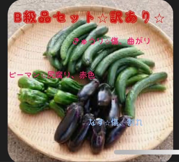 訳あり野菜 ピーマン、なす、きゅうり、ジャンボニンニク 80サイズ 栽培期間中 農薬 化学肥料不使用