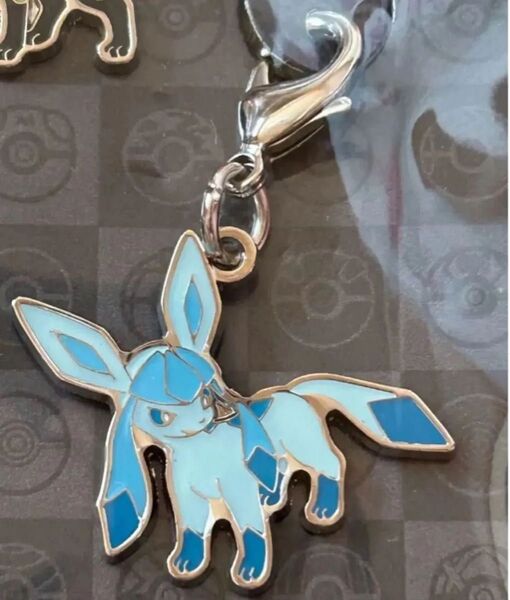 ポケモンセンター 限定 ポケットモンスター キーホルダー 全国ずかん メタルチャーム イーブイ ブイズ グレイシア