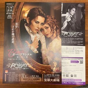 5枚 宝塚歌劇 雪組『ボー・ブランメル~美しすぎた男~』朝美絢/夢白あや.