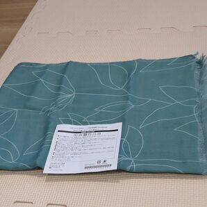 DR.CI:LABO ONWARD Produce UVカットストール にすみグリーン 未使用