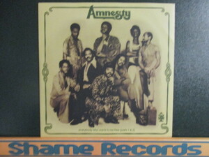 Amnesty ： Everybody Who Wants To Be Free 7'' / 45s ★ 70's Deep Funk ☆ 落札5点で送料無料