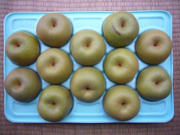 埼玉県産 幸水梨 規格外品 訳あり 10~14玉入 約5kg