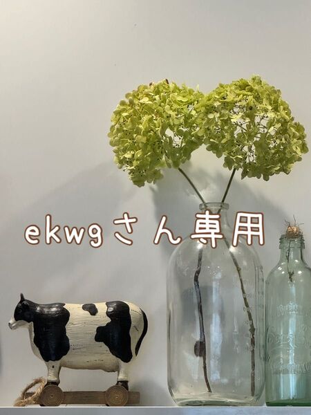 L size 農薬不使用 野菜詰め合わせ 野菜セット