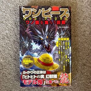 ワンピース ワノ国を食らう凶龍 考察本