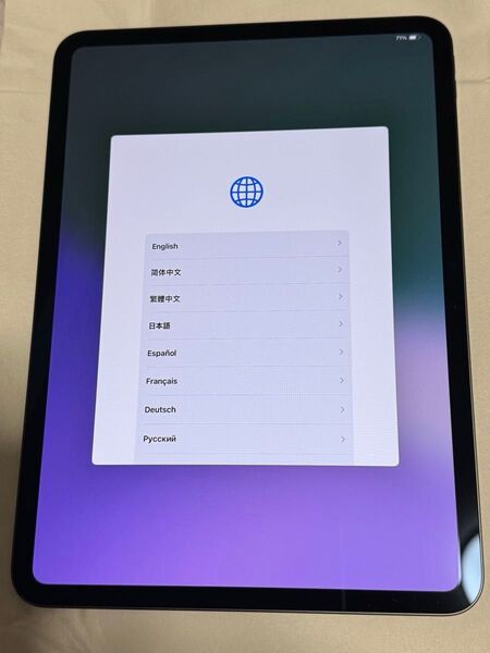 最新 美品 iPad Pro 11インチ M4 256GB スペースグレー sku17