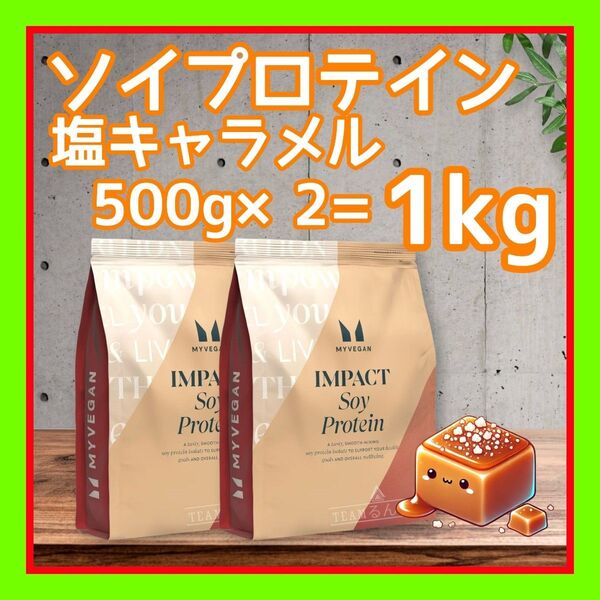 ソイプロテイン アイソレート 1kg( 500g ×2袋/ 塩キャラメル 味)