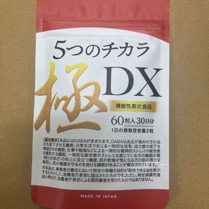 【未開封・機能性表示食品】5つのチカラ極DX 60粒入 NMN・GABA配合/届出I177/2027年4月賞味期限